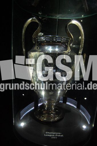 Champions-League Pokal.JPG